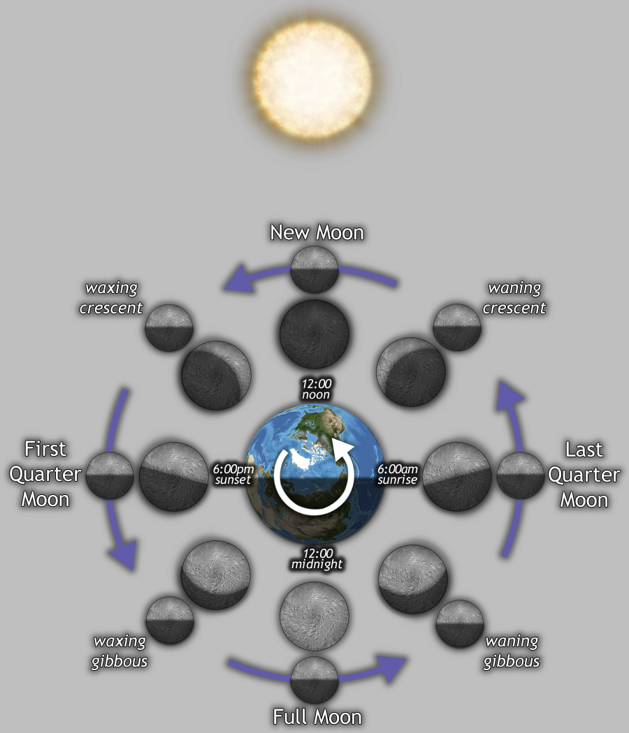 First Quarter Moon Phase Diagram